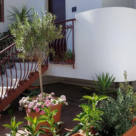 Il Cantico 3* Capurso