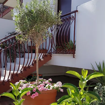 Il Cantico 3* Capurso