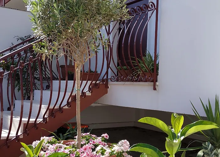 Il Cantico 3* Capurso